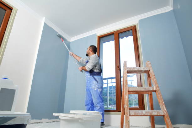 Best Mold Removal for HVAC Installations  in South Point, OH