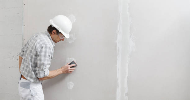 Professional Mold Removal in South Point, OH