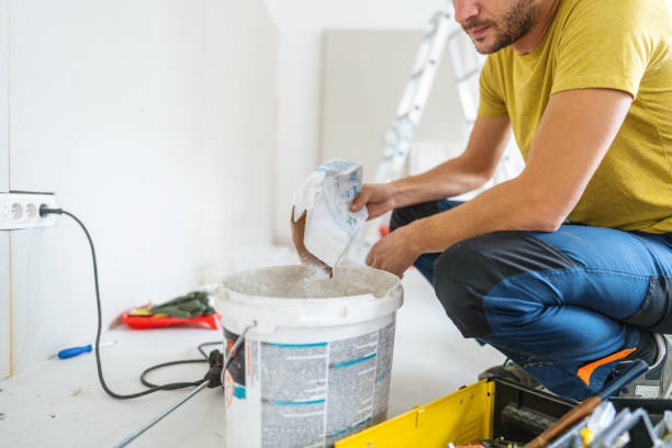Best Mold Odor Removal Services  in South Point, OH