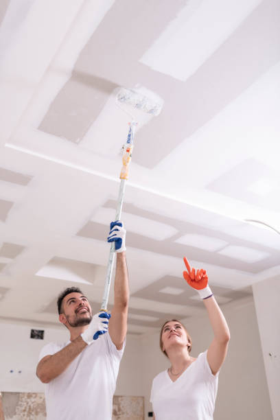 Best HVAC Mold Inspection and Cleaning  in South Point, OH