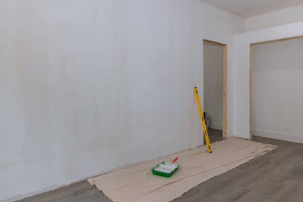 Best Mold Prevention Services  in South Point, OH